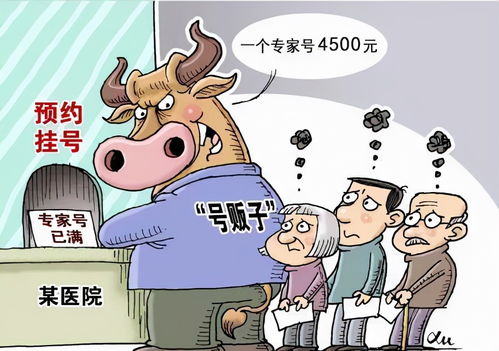 票务乱象调查 票圈利益交割，处理黄牛也不能完全“清朗”票务服务